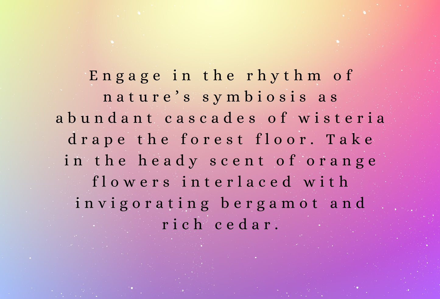 Japanese Wisteria highly scented soy wax melts | Vegan | Eco-Friendly | Cruelty free | Plastic free packaging | Highly fragranced | Eco soy